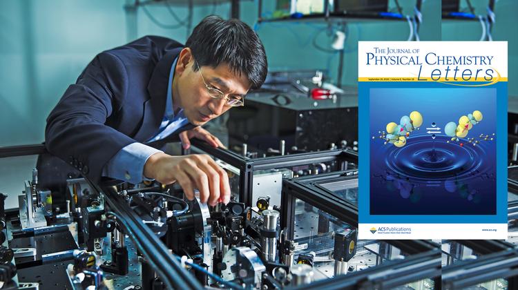 단백질이 물에서 안정한 이유, 적외선으로 밝혔다