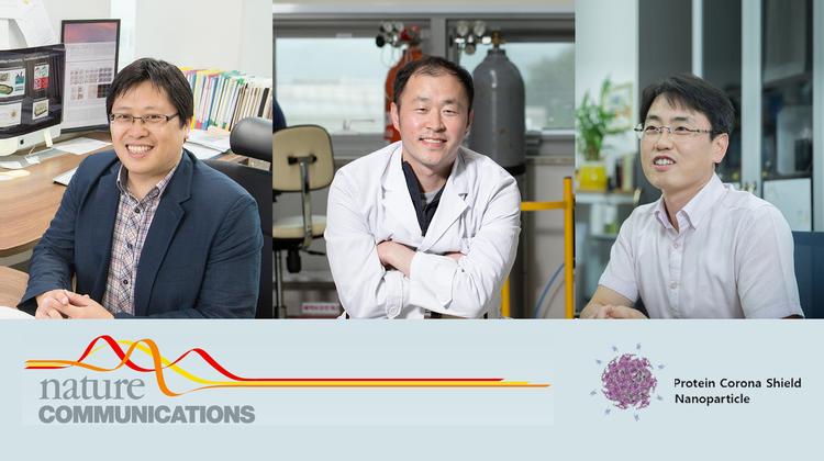 암(癌)까지 살아서 가는 ‘고효율 나노 입자’ 치료제