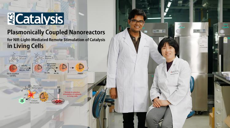 ‘빛으로 원격제어’… 살아 있는 세포 속 반응 유도하는 PINERs