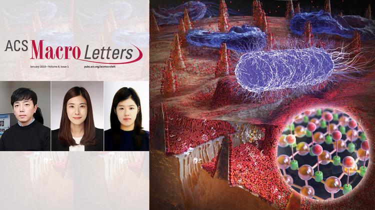 해조류 본 따 만든 초강력 ‘방오막(Anti-biofilm)’