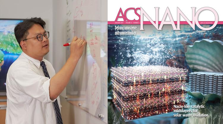 ‘전복 껍데기’서 배운 ‘인공광합성’ 효율 높이는 법!