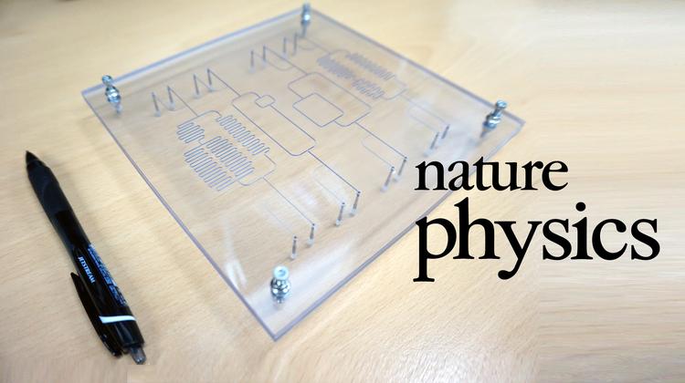 네트워크 연구로 모세혈관 주기운동 비밀 밝힌다