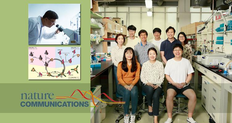 DNA와 단백질의 이별 공식을 밝히다