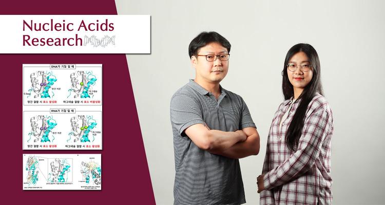 DNA 자를까 RNA 자를까, 금속으로 결정하는 신기한 효소