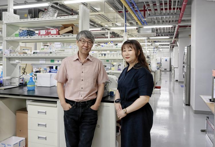 “다친 신경 되살리는 단백질 찾아” 척수·뇌 손상 청신호