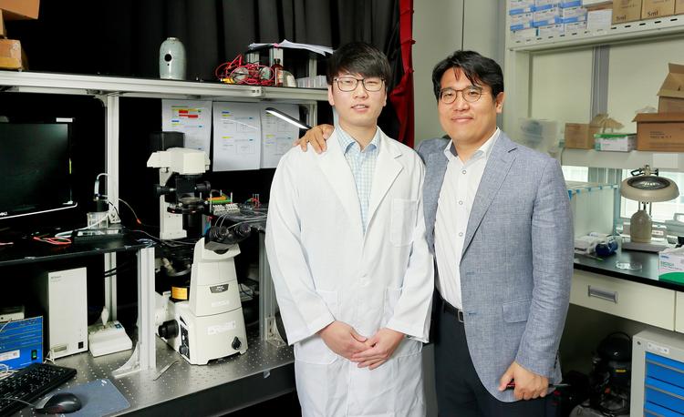 “거품이 ‘틀’ 된다”… 쉽고 저렴한 반도체 기판 생성법