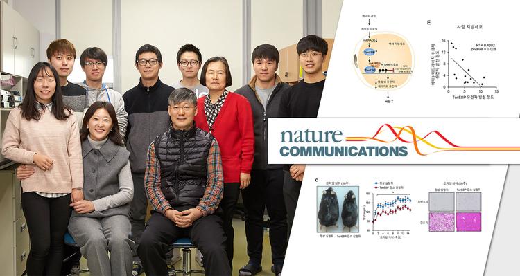 “지방 축적 원인 단백질 규명”… 대사질환 치료 새 길 연다!