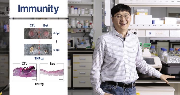 상처를 더 빨리 치료할 새로운 방법 찾았다!