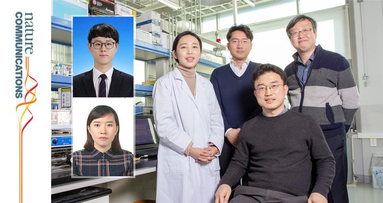 버려진 목재로 유용한 화학물질 만드는 ‘융합촉매’