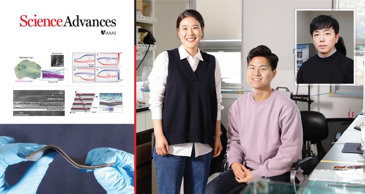 ‘가오리 지느러미’처럼 오염물질 털어내는 표면 개발