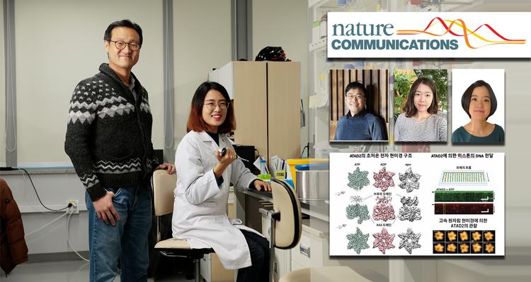 암 유발하는 단백질 구조 포착 … 신약 발굴 가속화 기대!