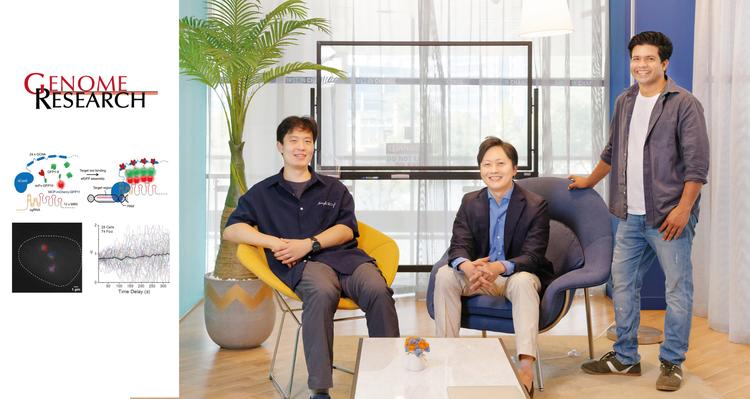 ‘유전자 가위’로 살아 있는 세포의 유전자(DNA) 추적한다!