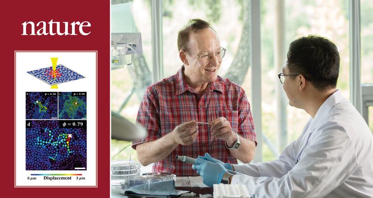 액체에서 유리로 변하는 입자의 움직임 밝히다