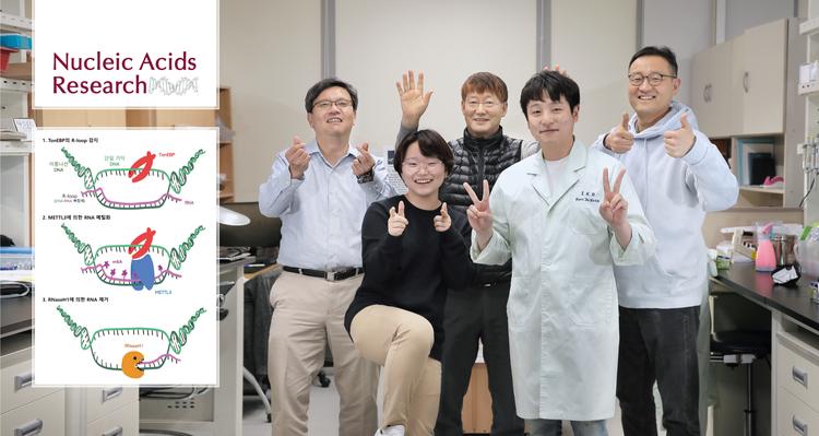 삼투압 조절 단백질이 암, 노화도 억제 한다!