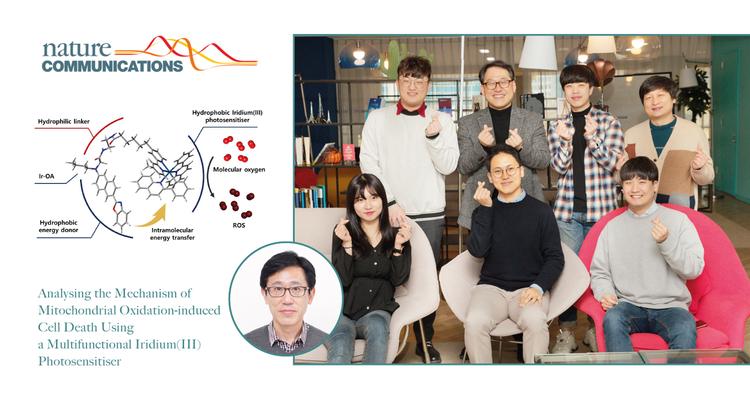 세포 환경 실시간 탐지 물질로 미토콘드리아 산화 손상 과정 밝혔다!