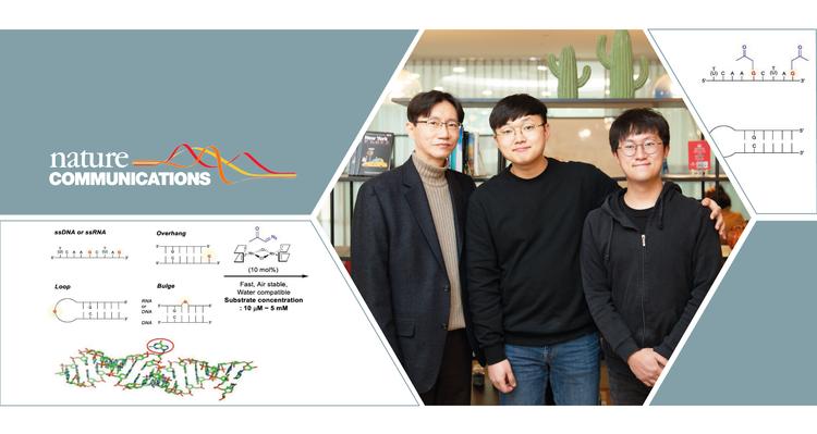 유전물질(RNA, DNA) 조각 선택적으로 변형하는 기술 개발!