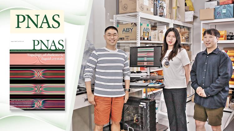 꼬인 액정 속에 존재하는 결함, 위상수학으로 풀어냈다!