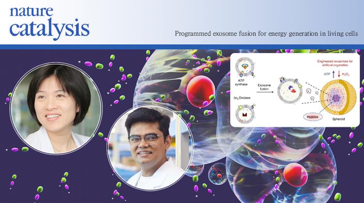 인공 세포 소기관으로 조직 깊은 곳 세포까지 에너지 공급한다