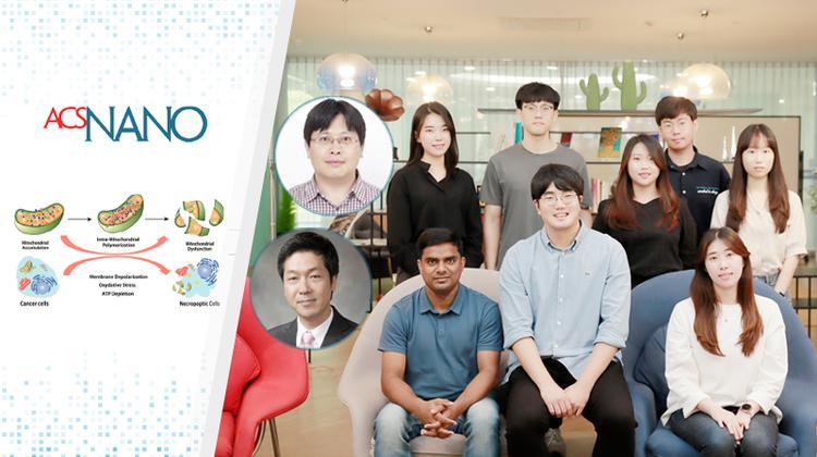 인공 단백질로 암세포만 골라 죽이는 기술 개발!