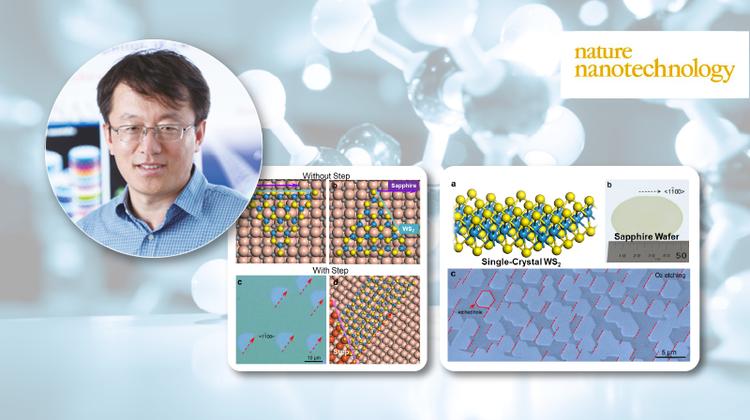실리콘 이을 새 반도체 소재 상용화 성큼