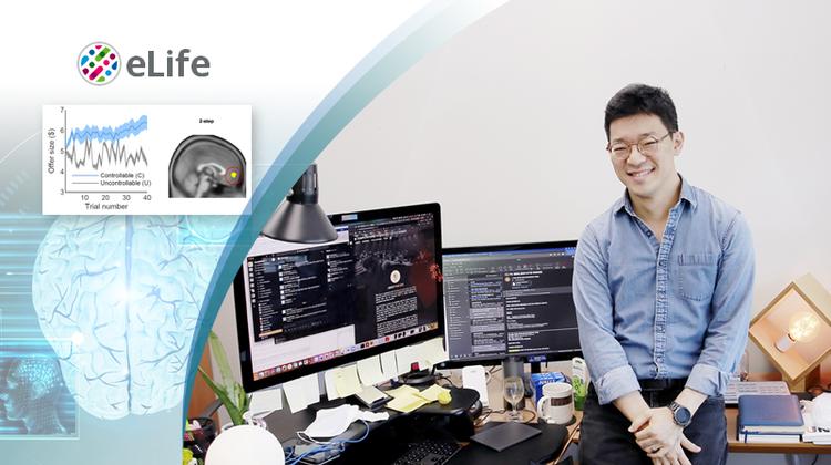 우리 뇌가 타인 통제하는 방식 단서 찾았다!