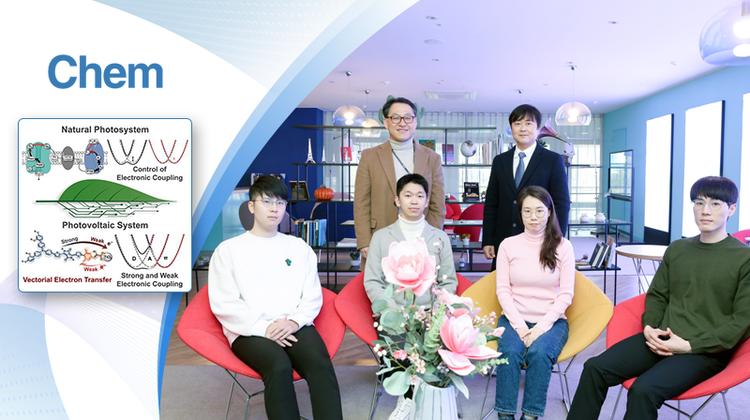 식물 광합성 방식 모방해 태양전지 효율 높인다!