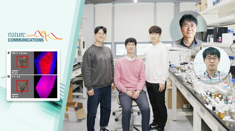 ‘겉과 속 다른’ 다공성 소재 합성 기술 개발