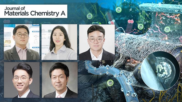 홍합의 수중 접착력 모방해 해수전지 성능 높인다!