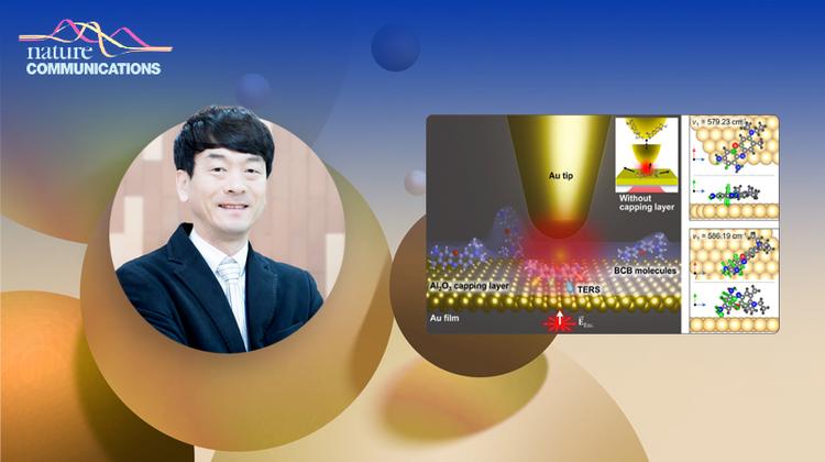 단일분자에 ‘이불 덮어’ 생명의 기원 밝힐 실마리 찾았다