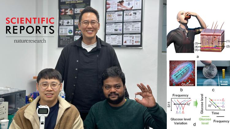 “피 뽑지 않고 혈당 측정!”… 전자기파 기반 센서 나와