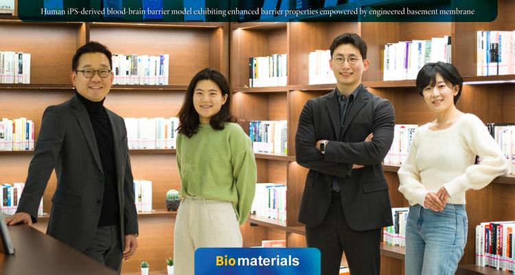 뇌 질환 치료를 위한 혈액-뇌 장벽 모델 개발됐다!