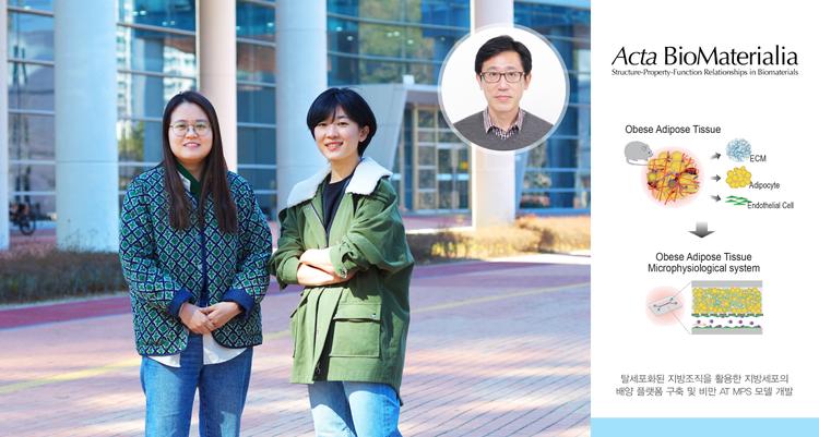 지방 조직의 미세 환경을 모사한 생체모사칩 개발!
