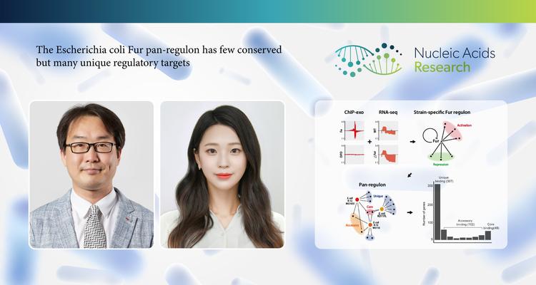 대장균 균주의 전사 조절, 새로운 개념으로 이해한다!