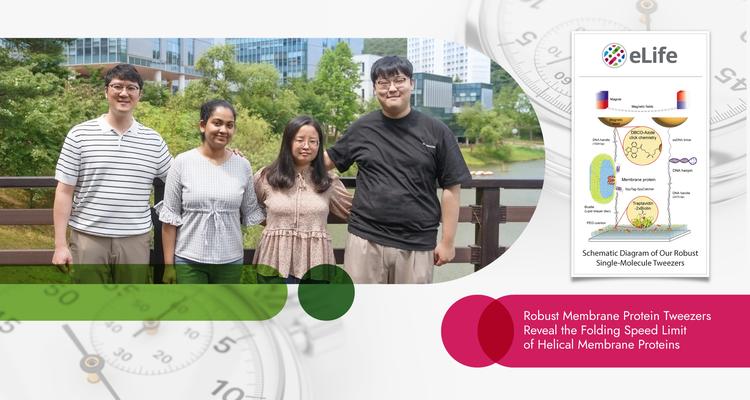 약물 개발에 중요한‘막단백질’구조의 형성 속도 최초 측정