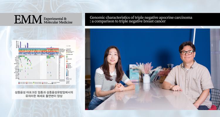 희귀 유방암 ‘삼중음성 아포크린 유방암’의 특성 밝혔다