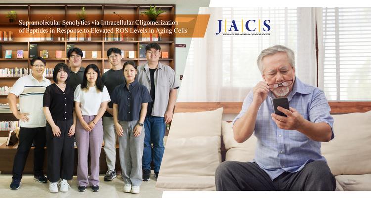 노화세포만 선택적으로 제거하는 기술 개발했다!