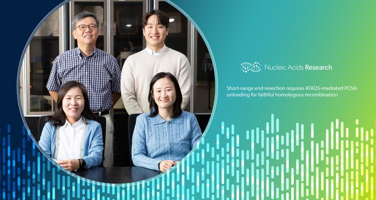 DNA 복구 중 결함․돌연변이 막는 ‘결정적 순간’ 포착