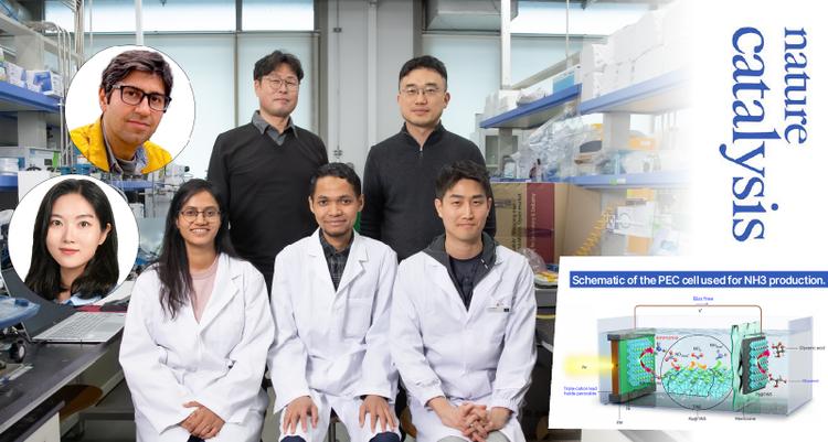 고효율의 암모니아, 친환경적인 태양에너지로 생산한다