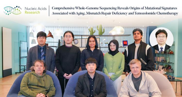 "십중팔구 5년 내 사망" 교모세포종 항암제 내성 극복할 단서 찾아