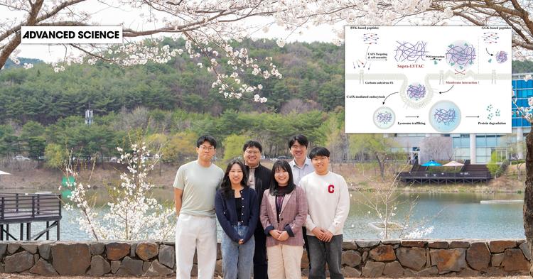 암세포의 면역 방어막 걷어내는 자기조립 복합체 개발