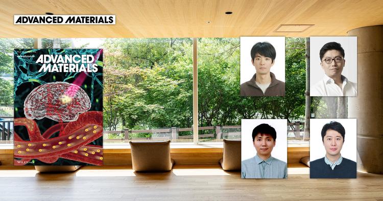 레이저 포인터로도 생체 조직 깊숙이 들여다본다!.. 광학 영상 기술 개발