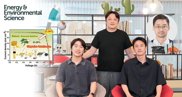 연기처럼 사라지는 녹나무 유래 물질로 고품질 태양전지 만든다!