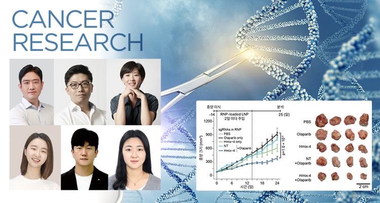DNA에 가위질 덜 하고도 암세포 죽인다!... 부작용↓ 유전자 가위 항암 기술 개발