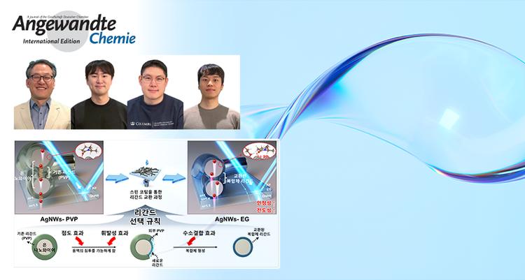 “플렉서블 은 나노전선 기반 투명전극 상용화 성큼”.. 전극전도성·내구성↑