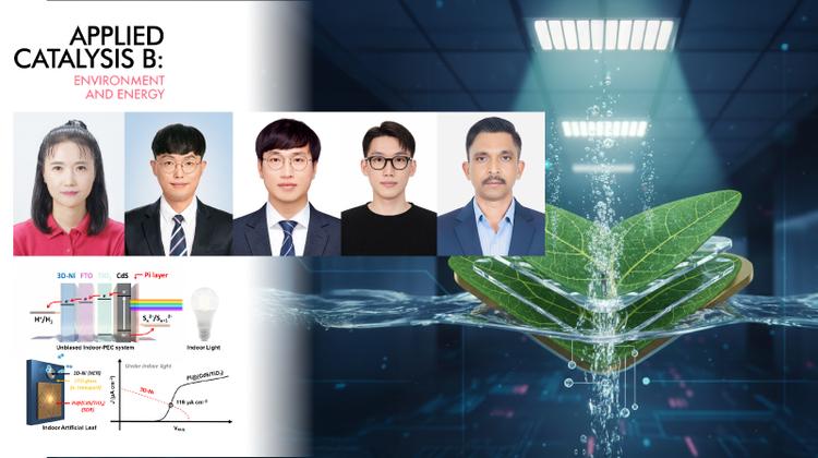 실내조명 받아 수소 만드는 인공 나뭇잎 개발