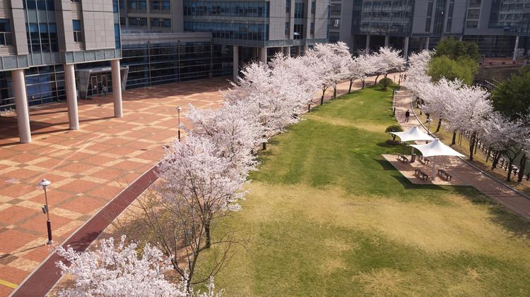 [정두영의 마음건강(4)] 코로나로 캠퍼스에 발을 딛지 못한 새내기들에게