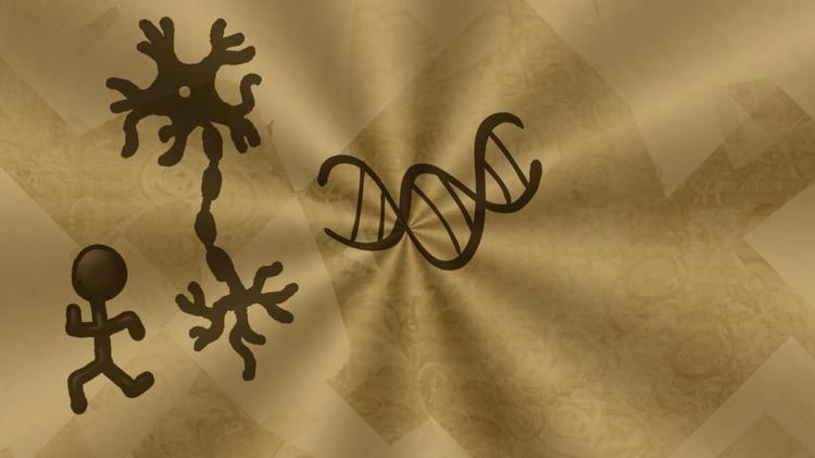 [박종화의 게놈이야기(28)] 인간 게놈 프로젝트 완료