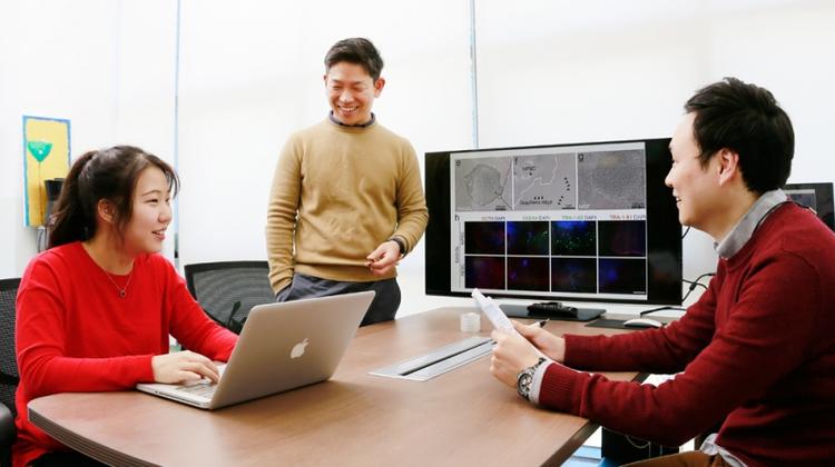 Stem Cell Breakthrough Significant for Regenerative Medicine