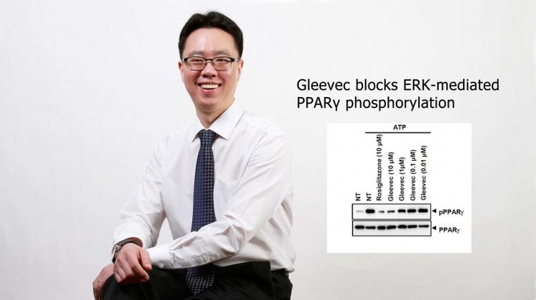 New Hope for a Type 2 Diabetes Cure