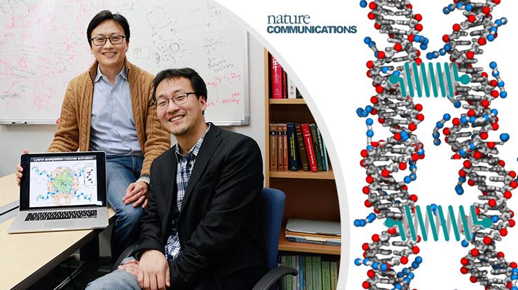 Scientists to Unlock the Secrets of DNA Sequence